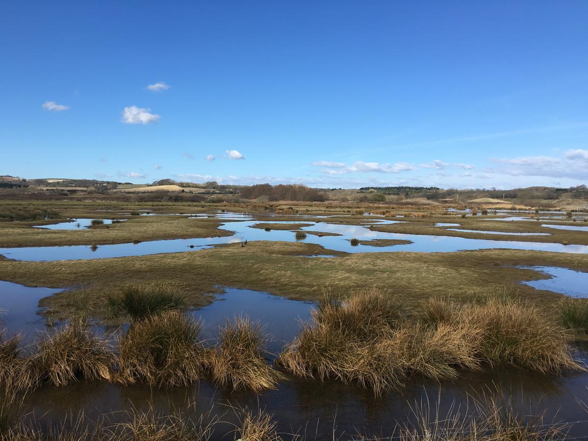 The Pilot Boat Inn, Isle Of Wight 本布里奇 外观 照片